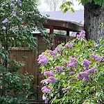 Ferienpark Worpswede فوربسفيديه